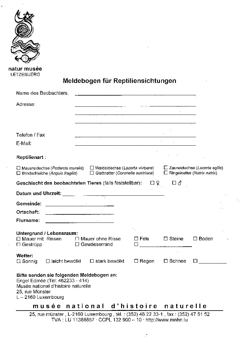 Reptilien Luxemburgs